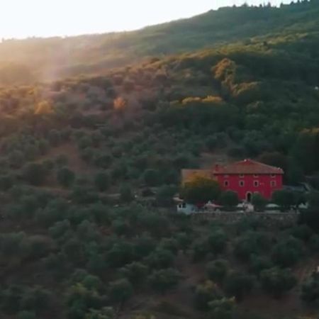 Podere Belvedere Tuscany Villa Pontassieve Dış mekan fotoğraf